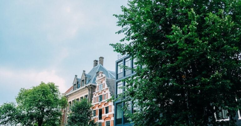 7 Ideas for Building Resilient Garden Infrastructure That Withstand Weather Extremes