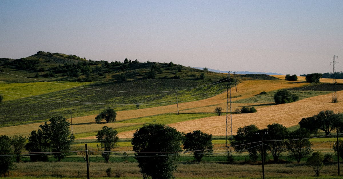 scenic view of rolling farmlands with power lines and trees under a clear sky