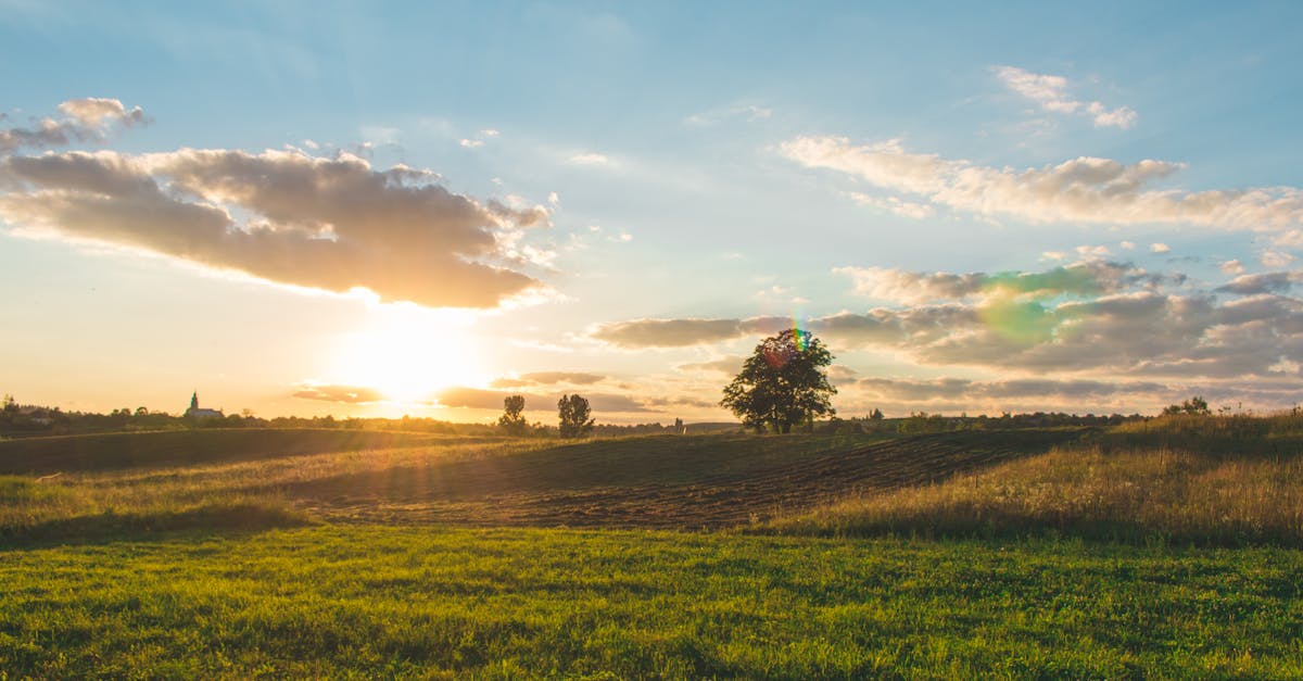 scenic view of sunset over fields and grassland in bratca romania capturing rural beauty