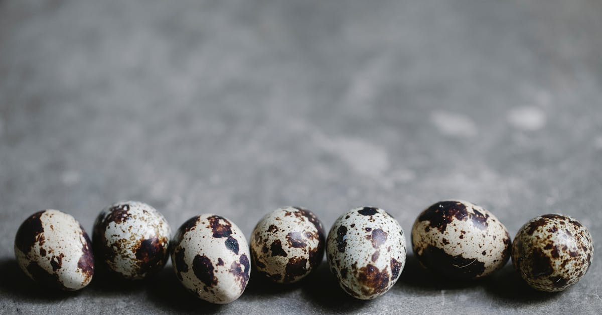 seven organic quail eggs arranged in a row on a rustic surface with natural lighting