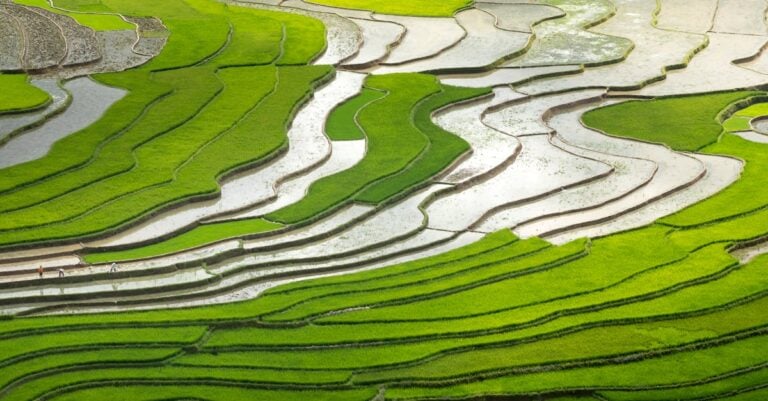 7 Sustainable Irrigation Methods for Organic Crops That Save Water & Money