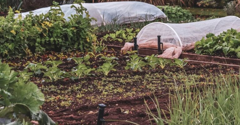 7 Mulching Techniques for Pest Reduction That Protect Gardens Naturally