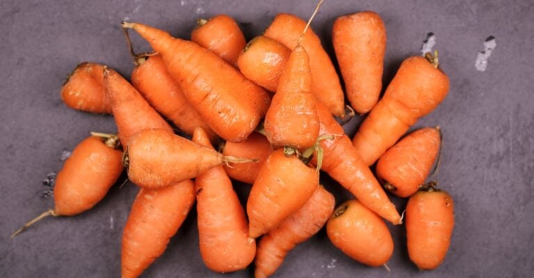 7 Ways to Effectively Rotate Root Vegetables That Prevent Soil Diseases