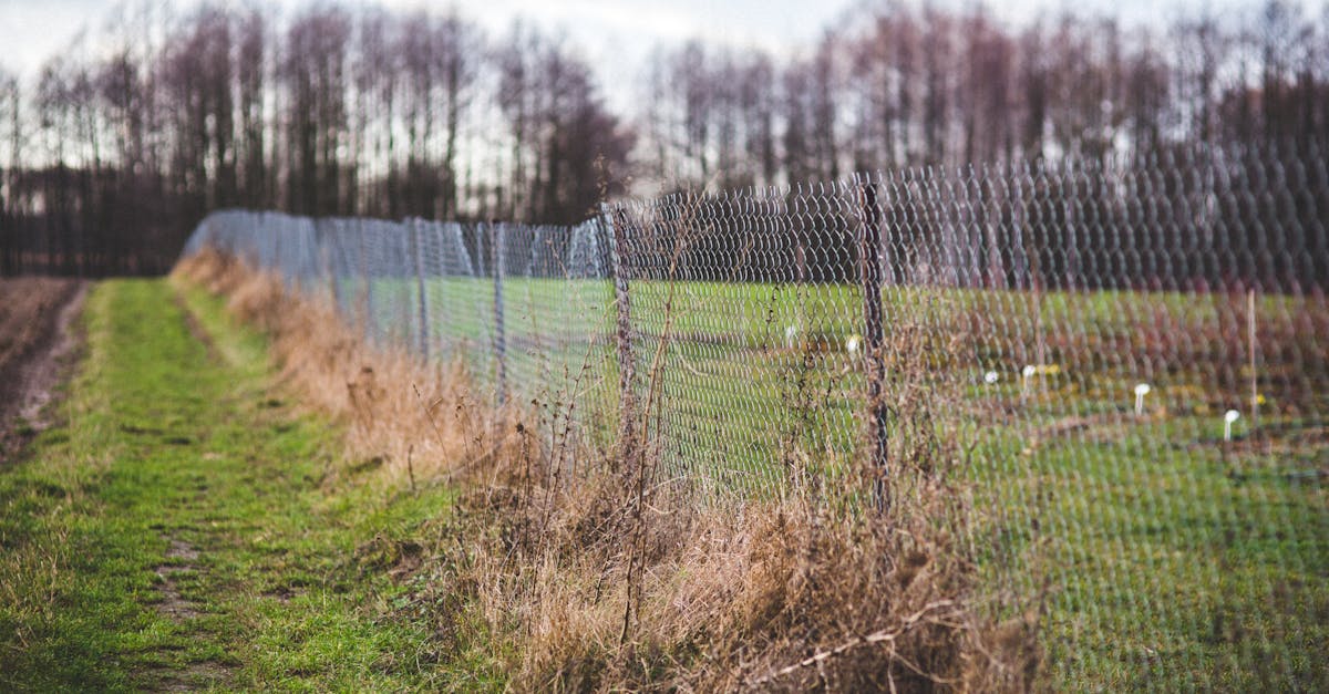 tranquil countryside view featuring a wire mesh fence dividing fields during the autumn season