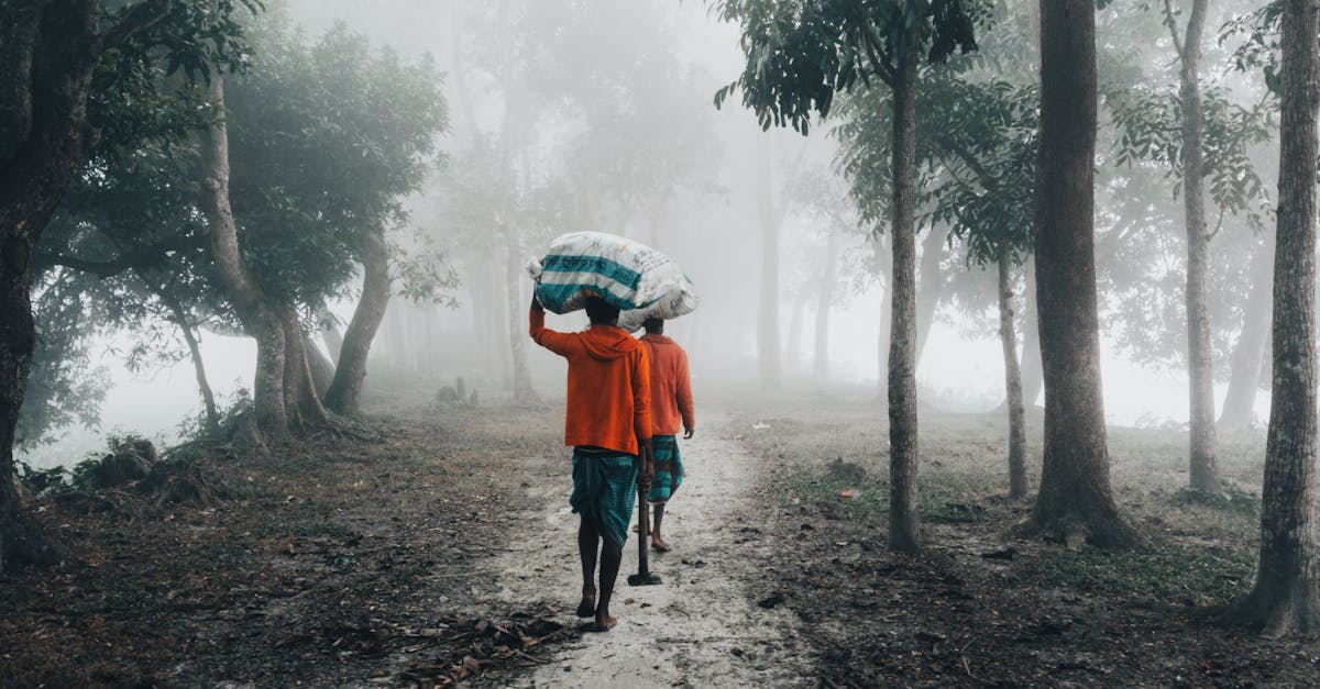 two men carry sacks through a misty forest path in chandpur bangladesh