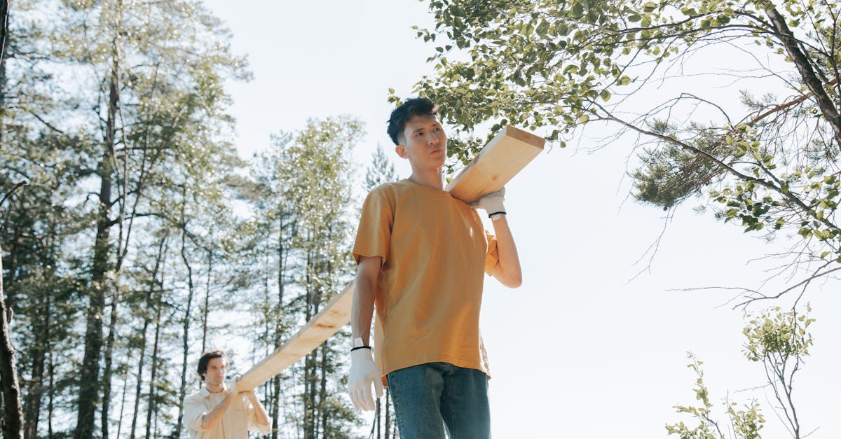 two men in a forest carrying wooden planks wearing jeans and gloves during daytime