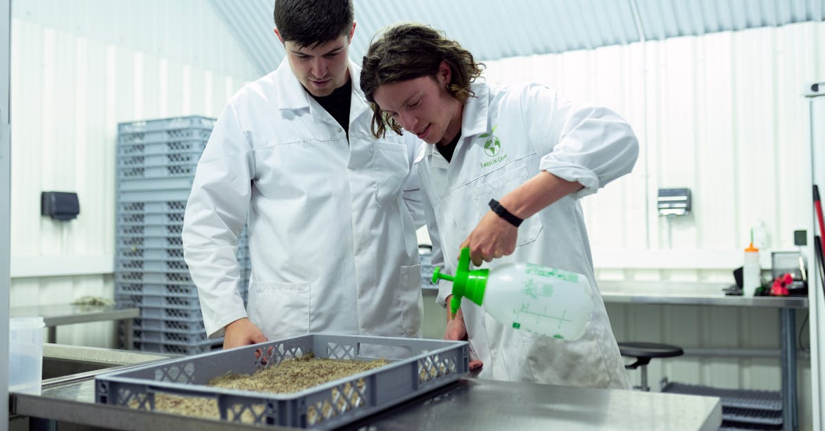 two scientists in lab coats conducting research on sustainable indoor farming techniques