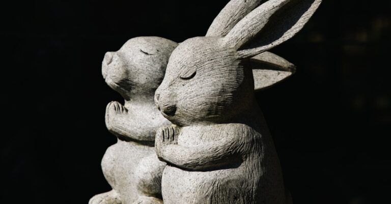 5 Stages of the Heritage Rabbit Lifecycle Explained: What Breeders Know