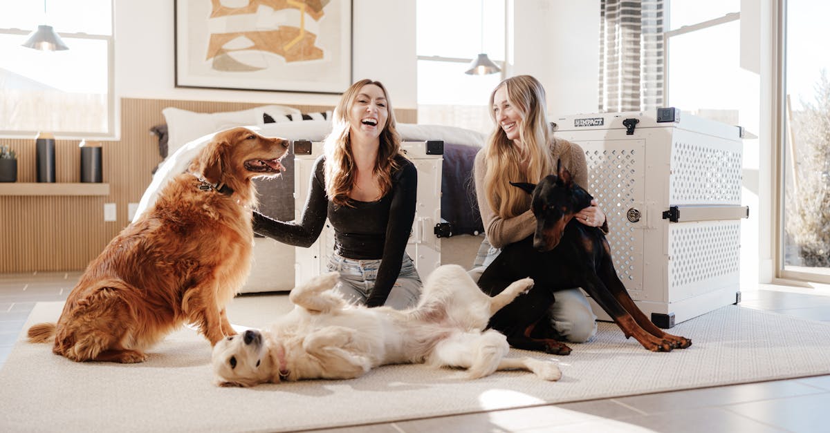two women enjoy time with their dogs in a stylish modern bedroom lit by natural light