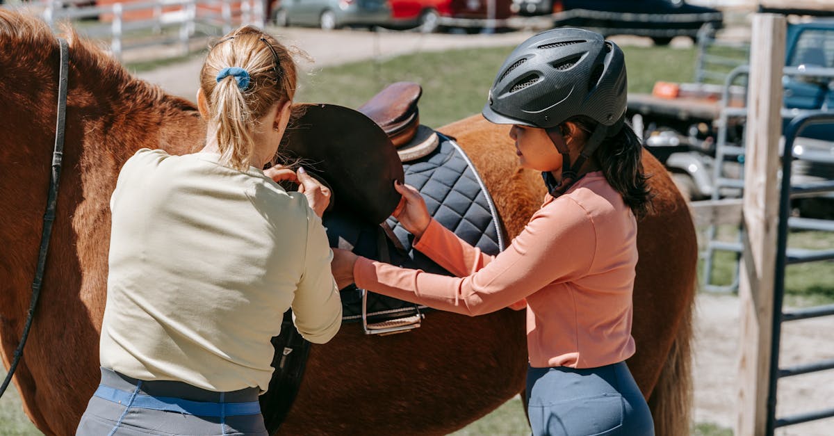 two women preparing a horse for riding on a sunny day at a farm