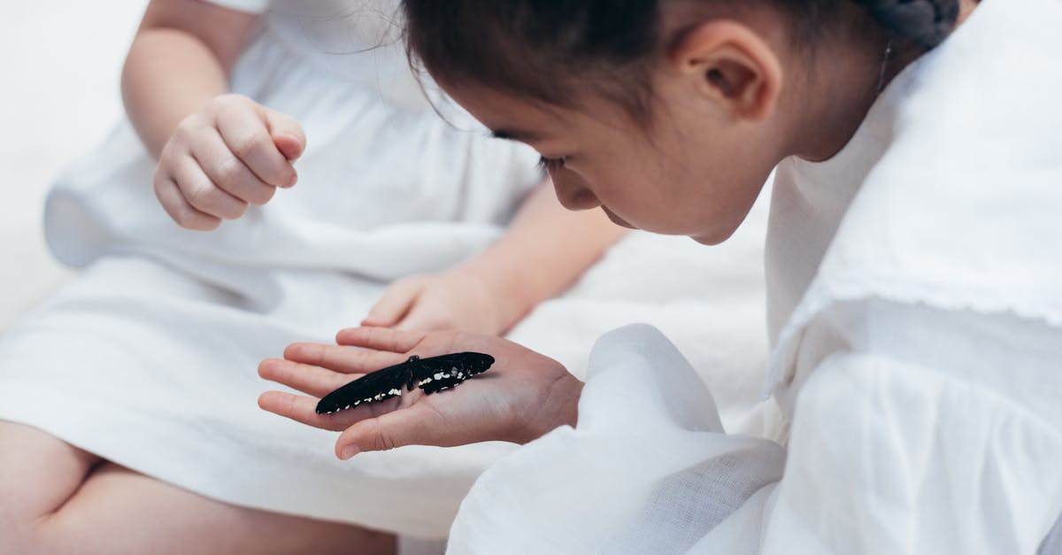 two young girls examining a black butterfly outdoors showcasing childhood curiosity and nature