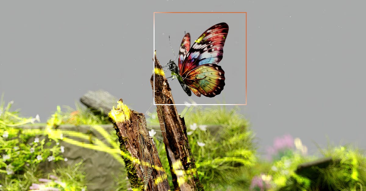 vibrant butterfly resting on mossy wood surrounded by fresh greenery