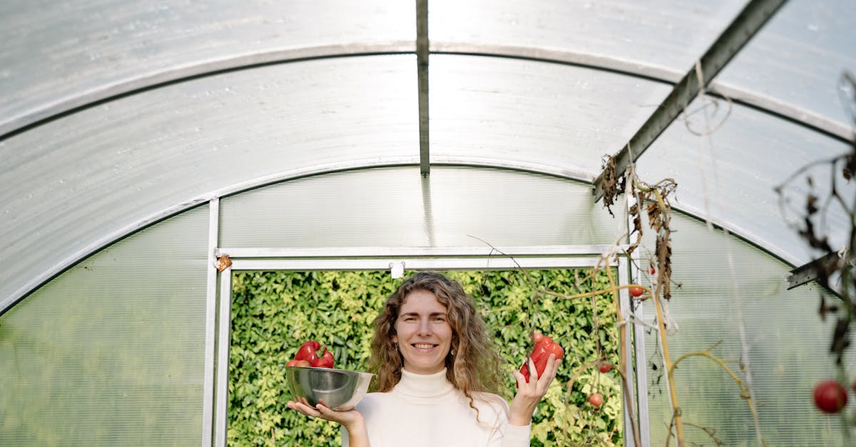 woman in a greenhouse holding bell peppers reflecting sustainable farming practices