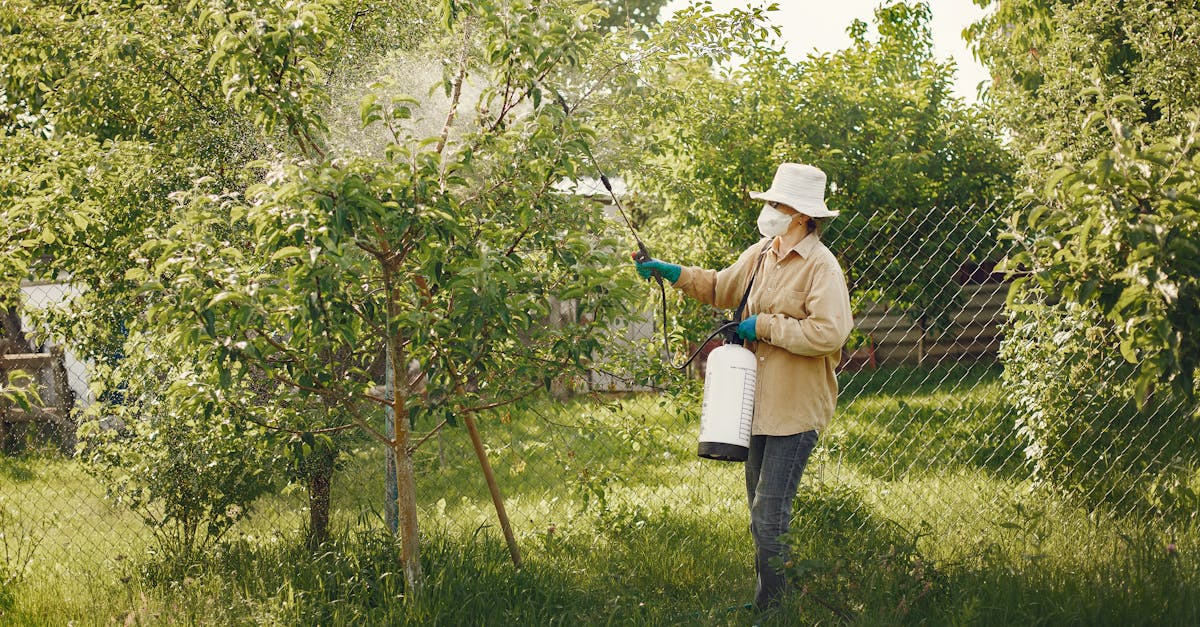 woman in protective gear spraying pesticides on garden trees with a spray bottle