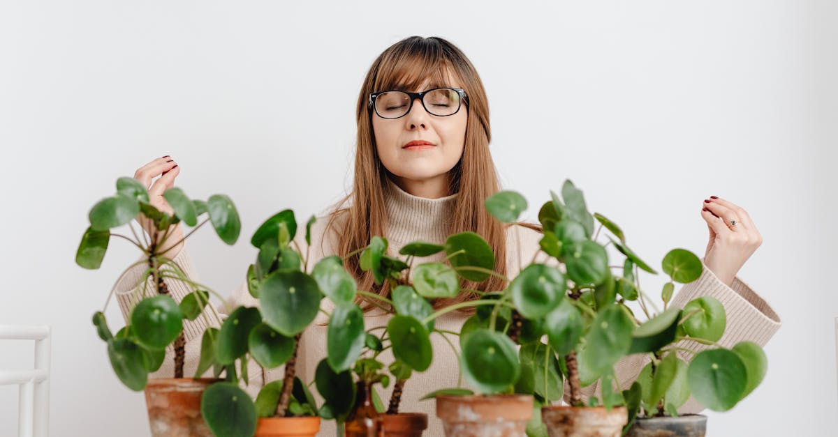 woman practicing meditation surrounded by lush green indoor plants on a white background