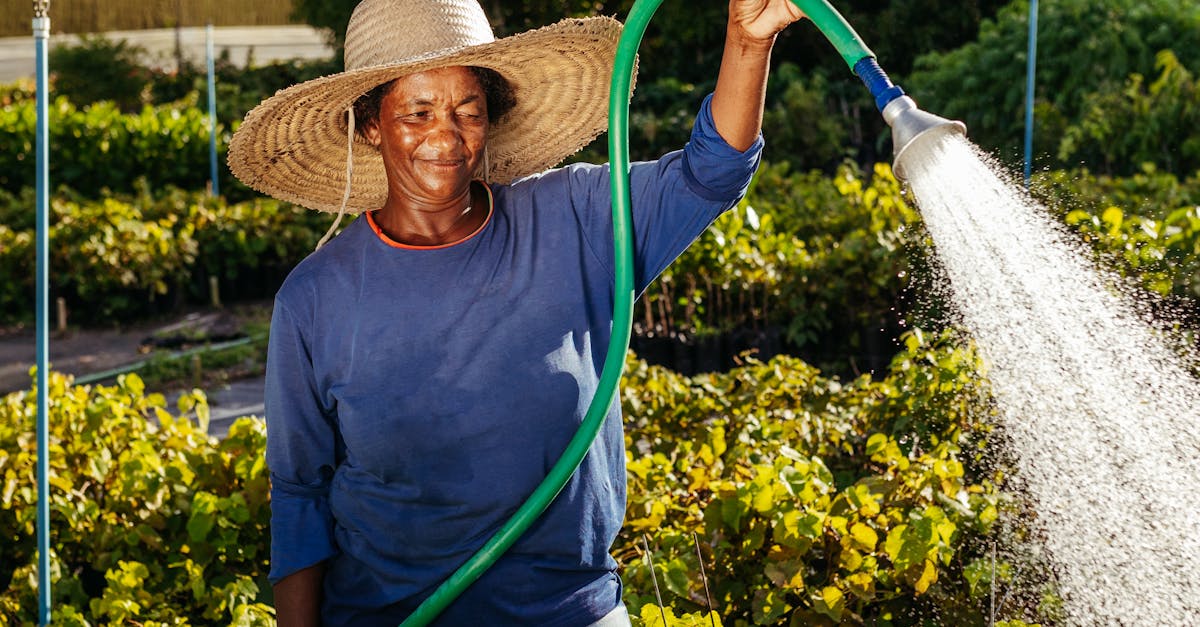woman wearing hat watering plants in a sunny outdoor garden with a hose