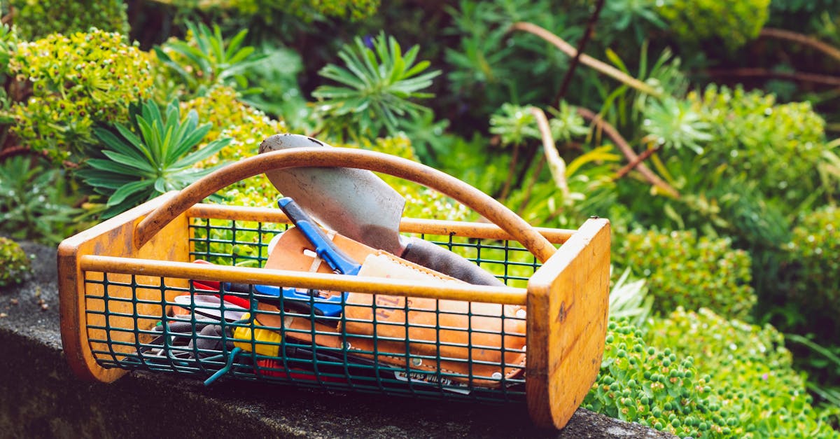 wooden basket with garden tools on a stone ledge surrounded by greenery 1