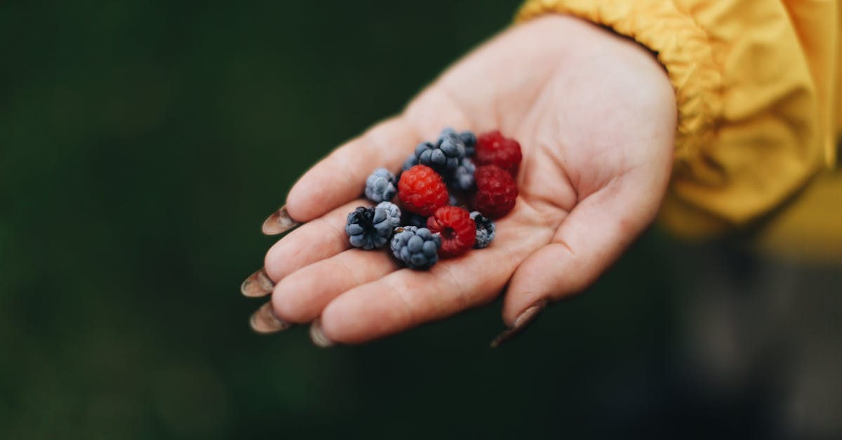 a close up of a hand holding freshly picked berries outdoors showcasing vibrant natural colors
