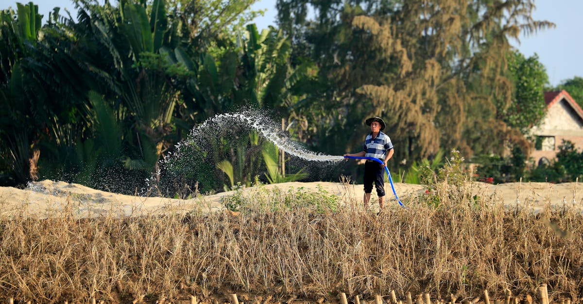 a farmer using a hose to water crops on a sunny day in the countryside