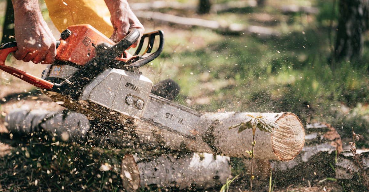 a lumberjack using a chainsaw to cut logs outdoors with sawdust flying