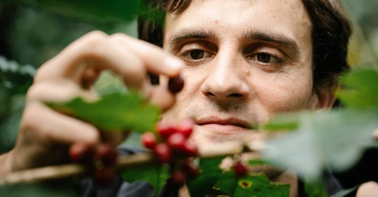 7 Ways Small Engines Improve Sustainable Farming That Cut Costs