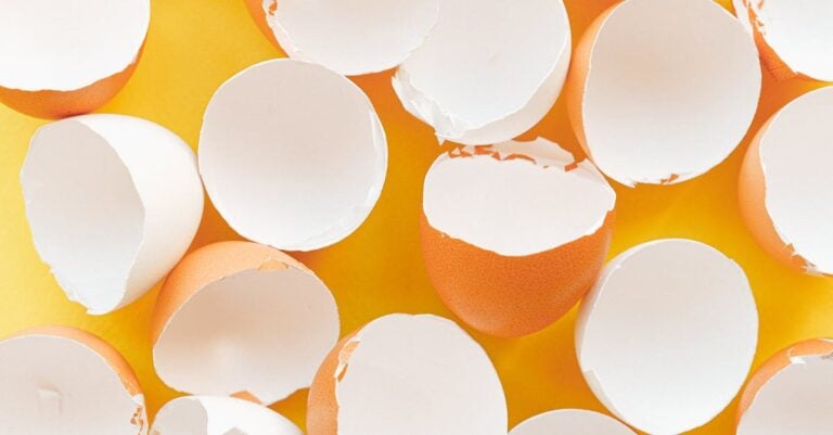 7 Strategies for Minimizing Food Waste That Save Money