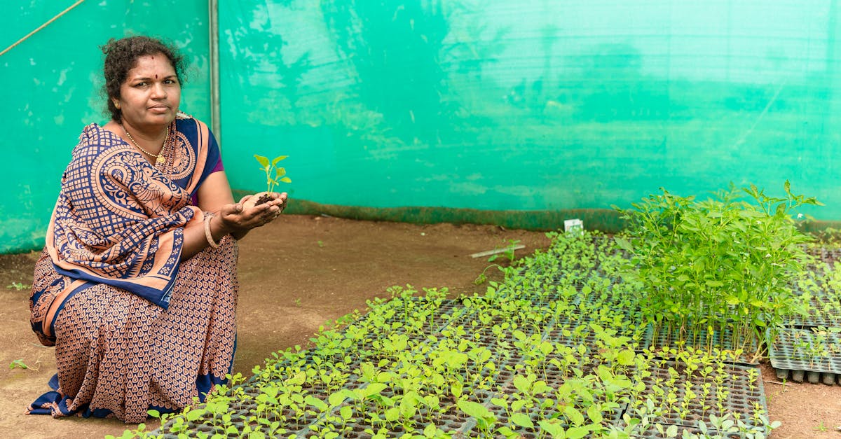 a woman farmer in nagpur india tending to her greenhouse seedlings