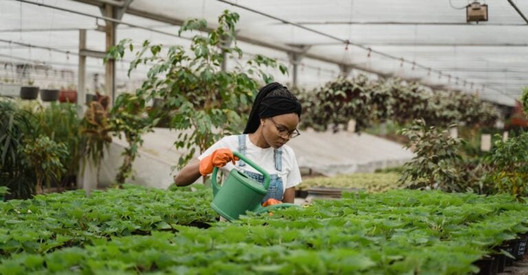 7 Ways to Perform Soil Testing for Urban Gardens on a Budget