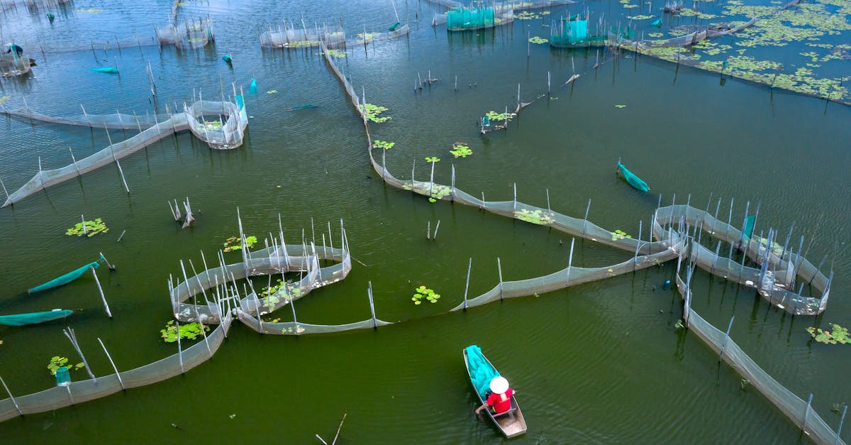 aerial shot of a fish farm with a person in a boat navigating through nets on a tranquil lake
