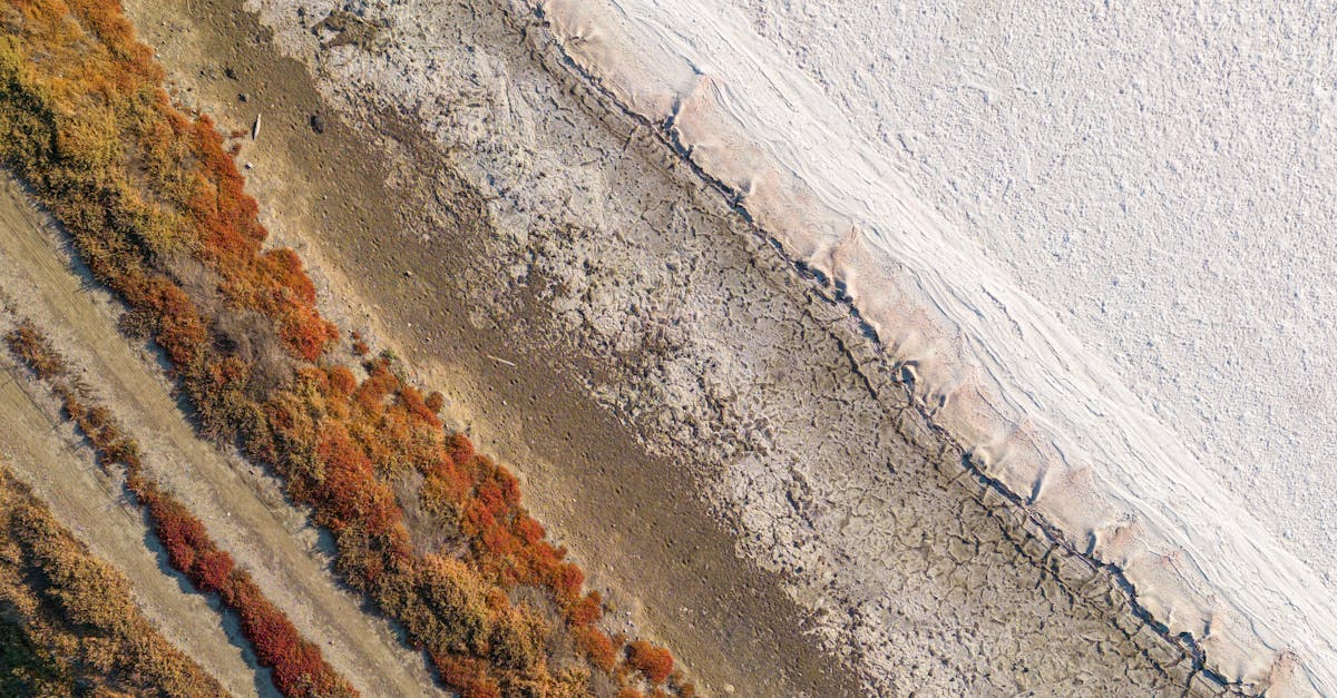 aerial shot showcasing dry cracked earth adjacent to colorful autumn vegetation