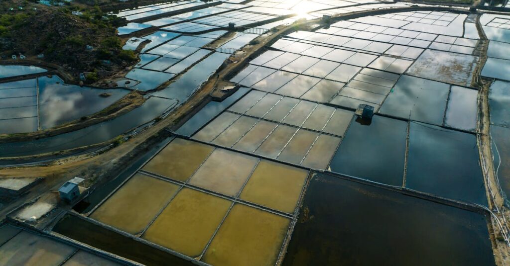 aerial shot showcasing serene aquaculture ponds reflecting the morning sky