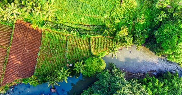 5 Best Water Filtration Options for Farm Use on a Budget