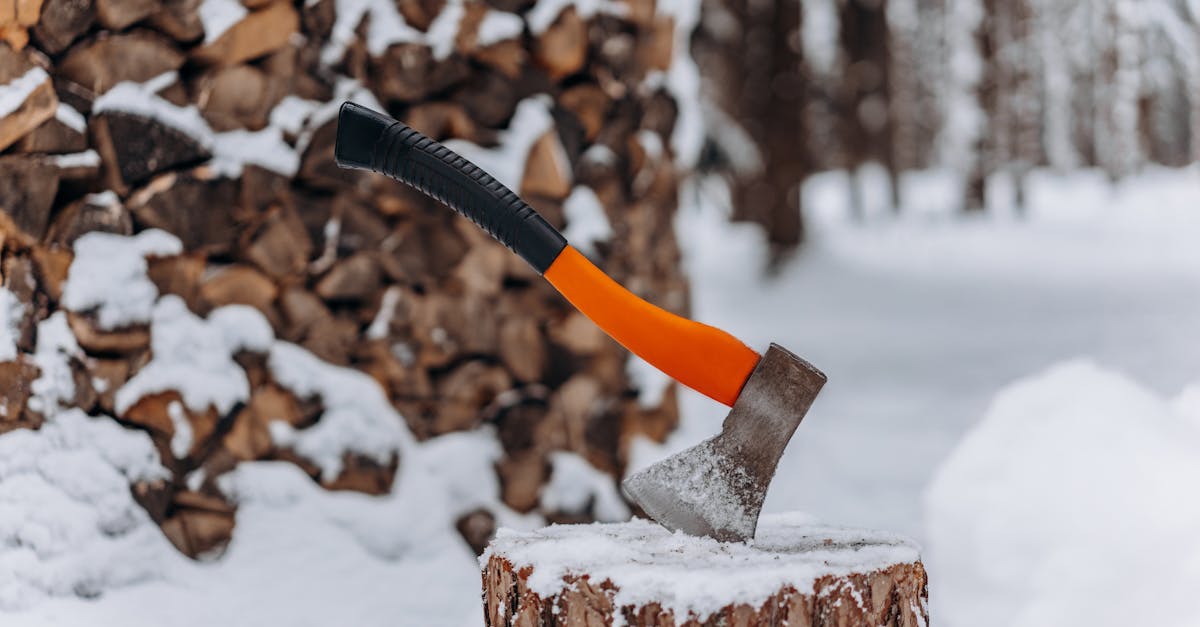 an axe stuck in a snowy tree stump with a woodpile background embodying winter preparedness