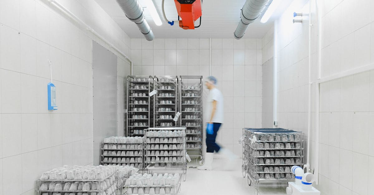 blurred worker in a cold storage facility with shelves of perishable goods emphasizing motion and e