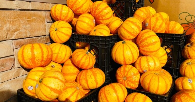 7 Seasonal Marketing Tactics for Farm Products That Build Community