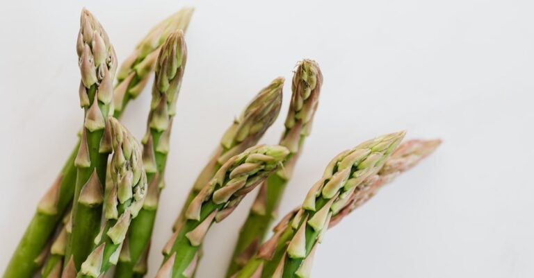 7 Ways to Prepare for Harvest Season Challenges That Prevent Disasters