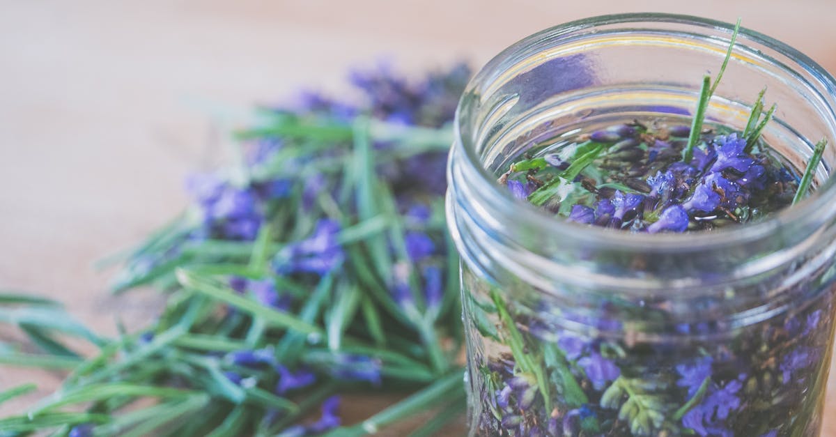 close up image of fresh culinary herbs and flowers in a glass jar on a wooden surface