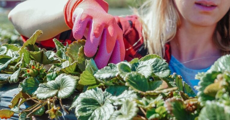 6 Best Rotating Tools for Seasonal Needs That Work Year-Round