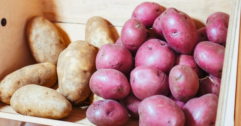 7 Seasonal Crop Storage Challenges That Prevent Common Losses