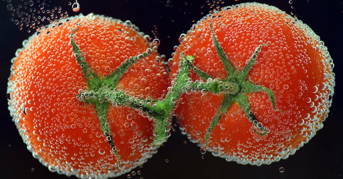 close up of fresh tomatoes underwater covered in sparkling water bubbles