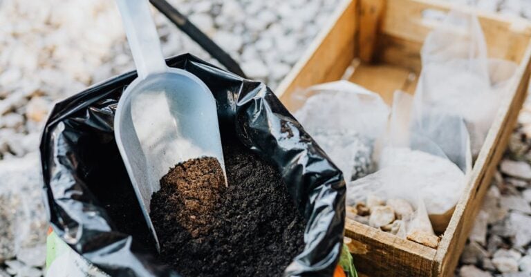 7 Reasons Mulch Is Essential for Organic Gardening Success