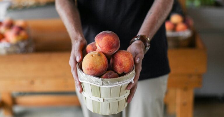 7 Ideas for Local Farm to Table Partnerships That Build Community