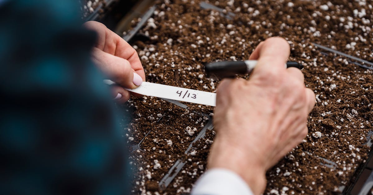 close up of hands labeling seed trays for gardening with april date