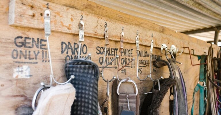 7 Multi-Functional Storage Solutions That Maximize Small Farm Space