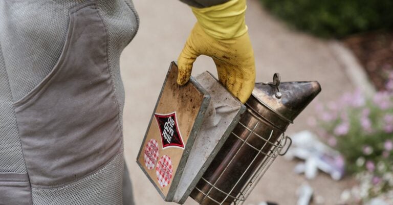 7 Tips for Seasonal Management of Bee Colonies That Prevent Common Issues