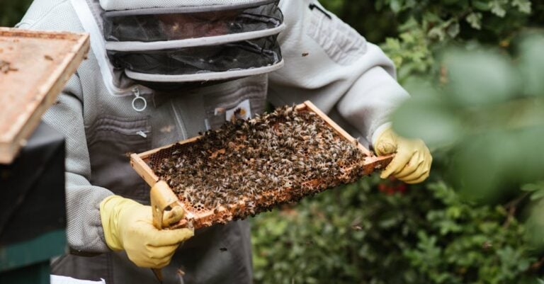 6 Best Beekeeping Workshops for Hobby Farmers That Prevent Colony Loss