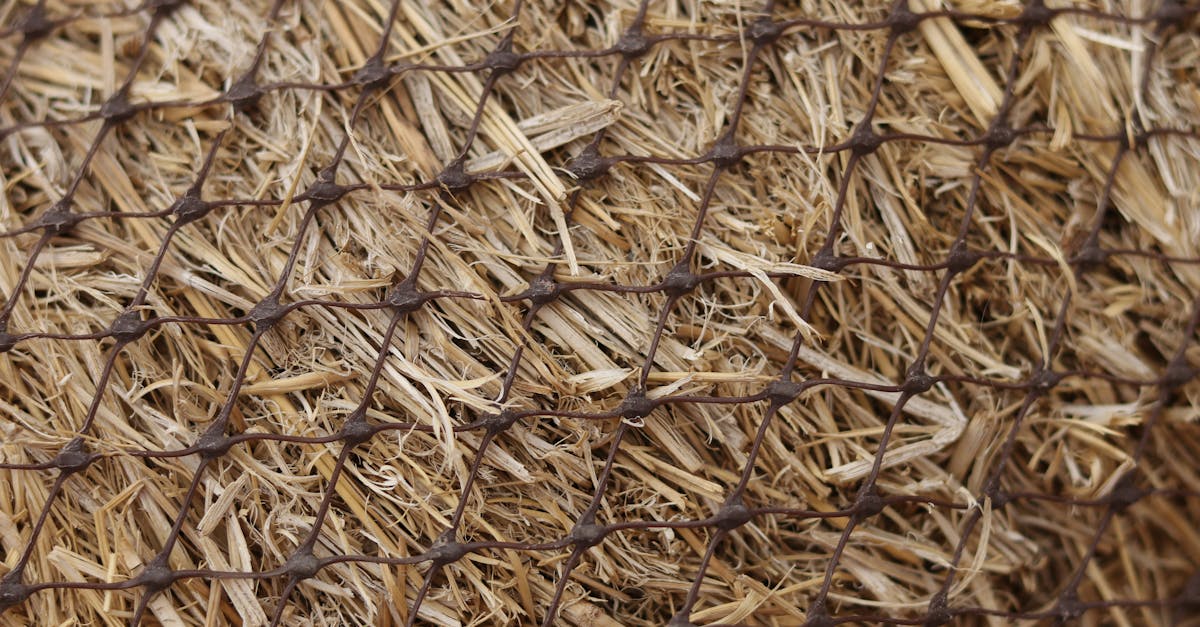 detailed view of a hay bale wrapped in netting showcasing texture 1