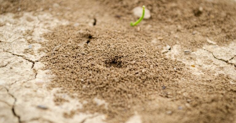 7 Ways to Improve Moisture Control in Animal Housing That Prevent Common Issues