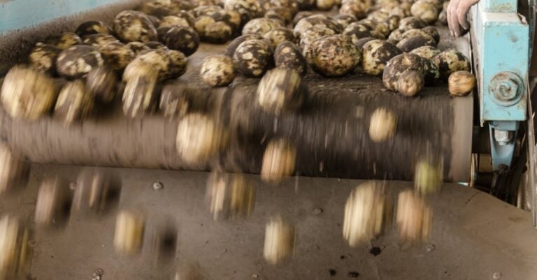 7 Best Mobile Food Processing Units for Small Farms on a Budget