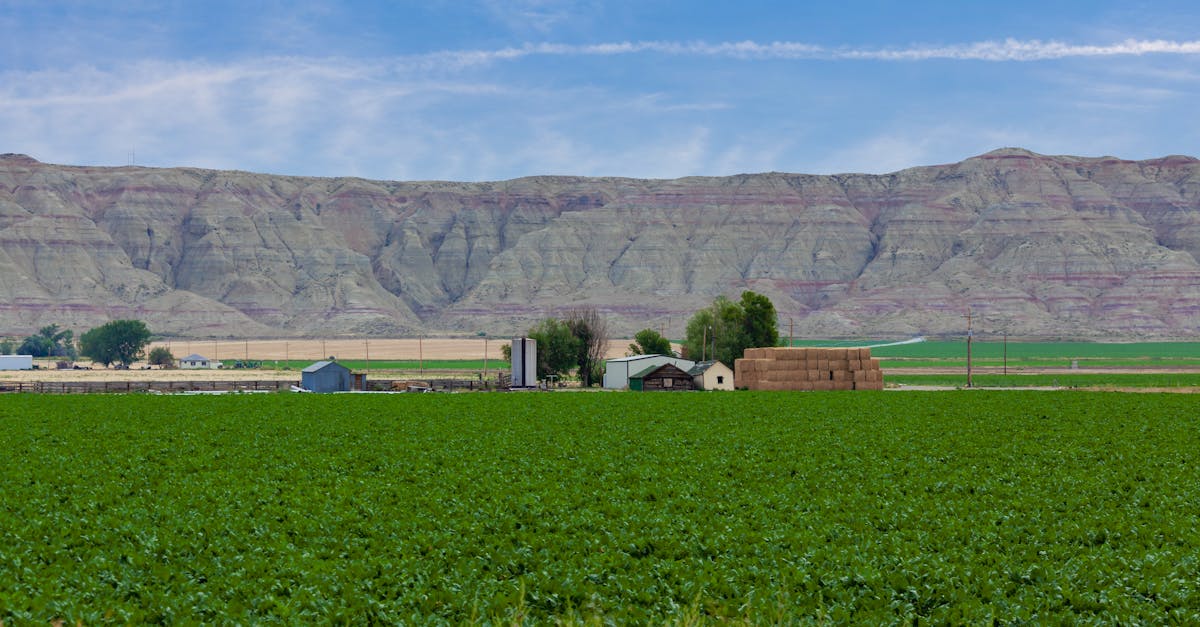 expansive farmland with mountains in montana usa under clear blue skies